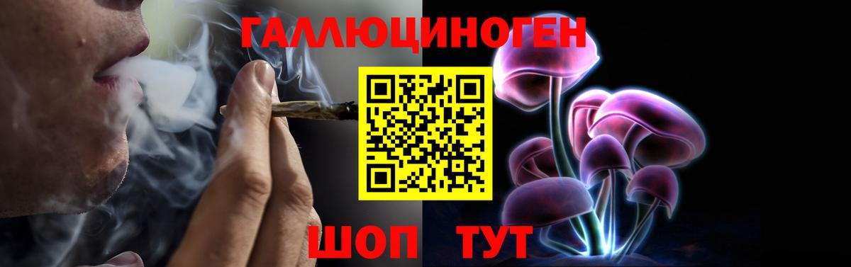 Обь  Псилоцибиновые грибы Magic Shrooms  Вход с VPN 
